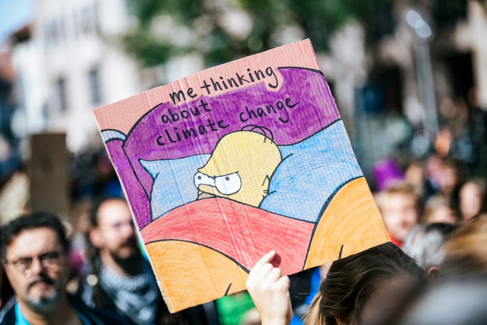 Navigating Climate Anxiety - Venting as a Path to Healing